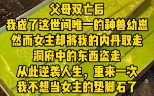 Скачать видео: 《命中机缘》父母双亡后，我成了这世间唯一的神兽幼崽，而女主却将我的内丹取走，洞府中的东西盗走，从此逆袭人生，重来一次，我再也不想当女主的垫脚石了