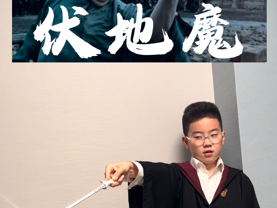 Harry Potter哈利波特之伏地魔哔哩哔哩bilibili