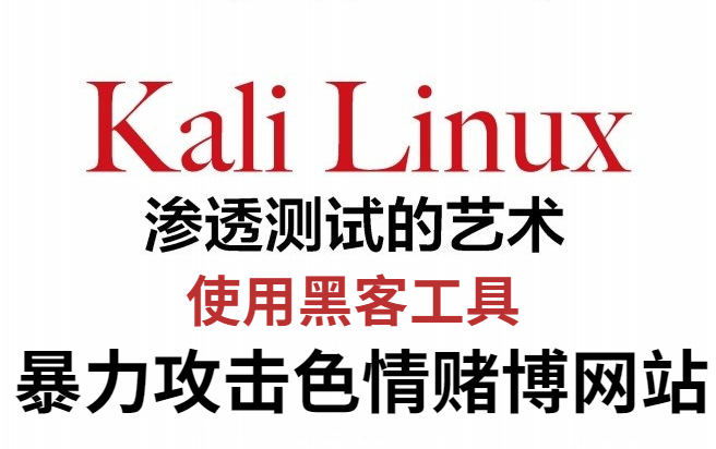 【国产黑客】学完干翻色情赌博网站,精选高质量Web渗透入门安装到入土全套教学哔哩哔哩bilibili