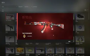 Download Video: 【CS:GO】我买过最逆天的改名枪