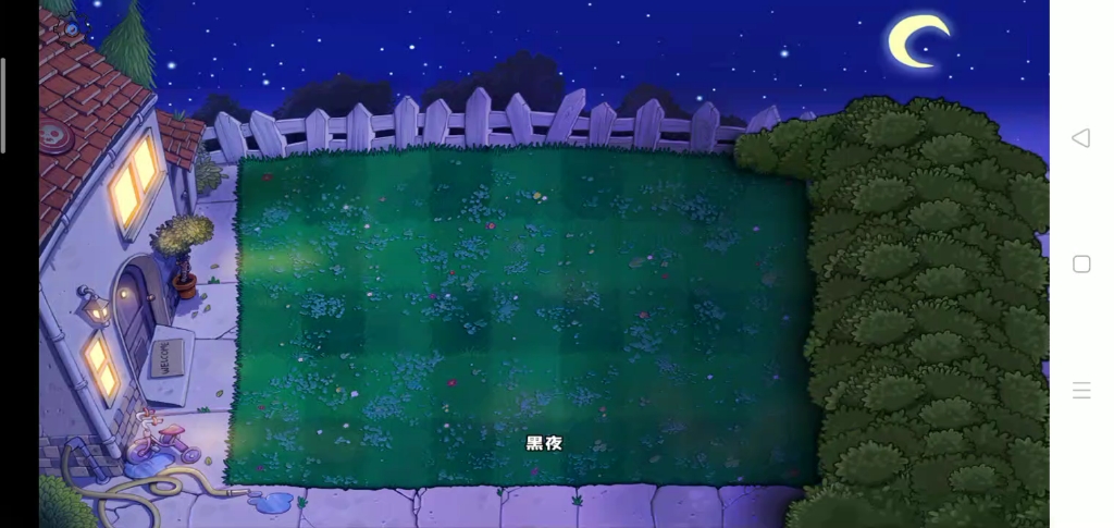 植物大战僵尸hd高清ipad版生存:黑夜