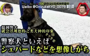 逃走 警察犬リード絡ませ クレバ号ナゼ 職務放棄 日本警犬罢工了 哔哩哔哩 つロ干杯 Bilibili