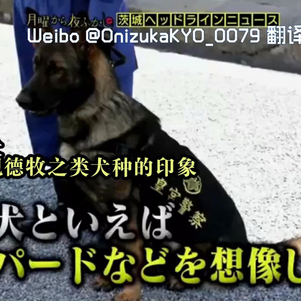 月曜夜未央】有能力就是任性，警犬也一样！ 171127 片段月曜から 