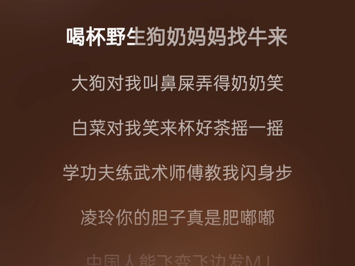 中国人能飞边飞编发NJ歌曲