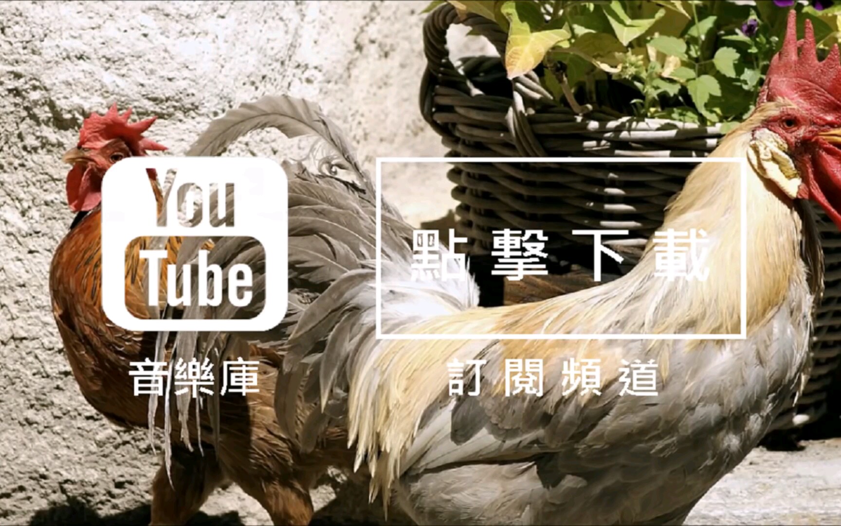 [图]YouTube音乐库 免费背景音乐下载 歌名: If I Had a Chicken 作者: Kevin MacLeod