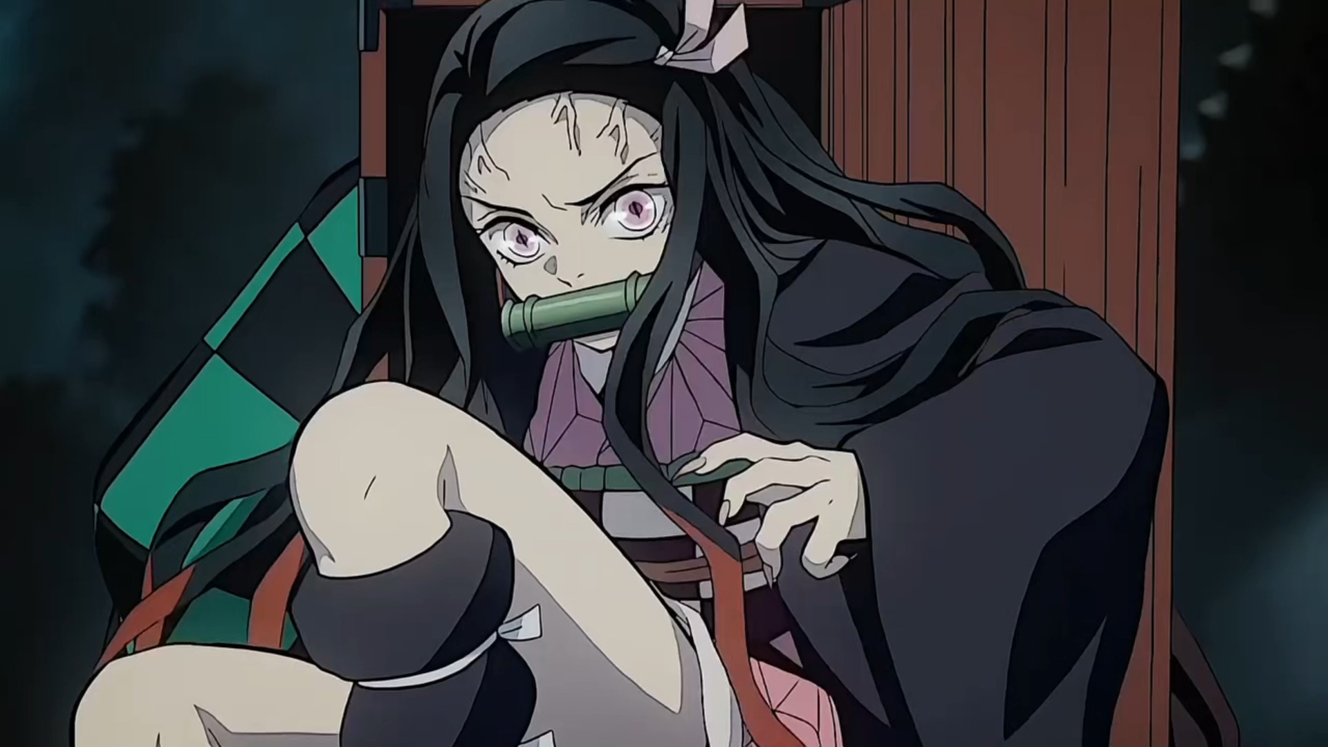 祢豆子:略懂一些脚拳脚!