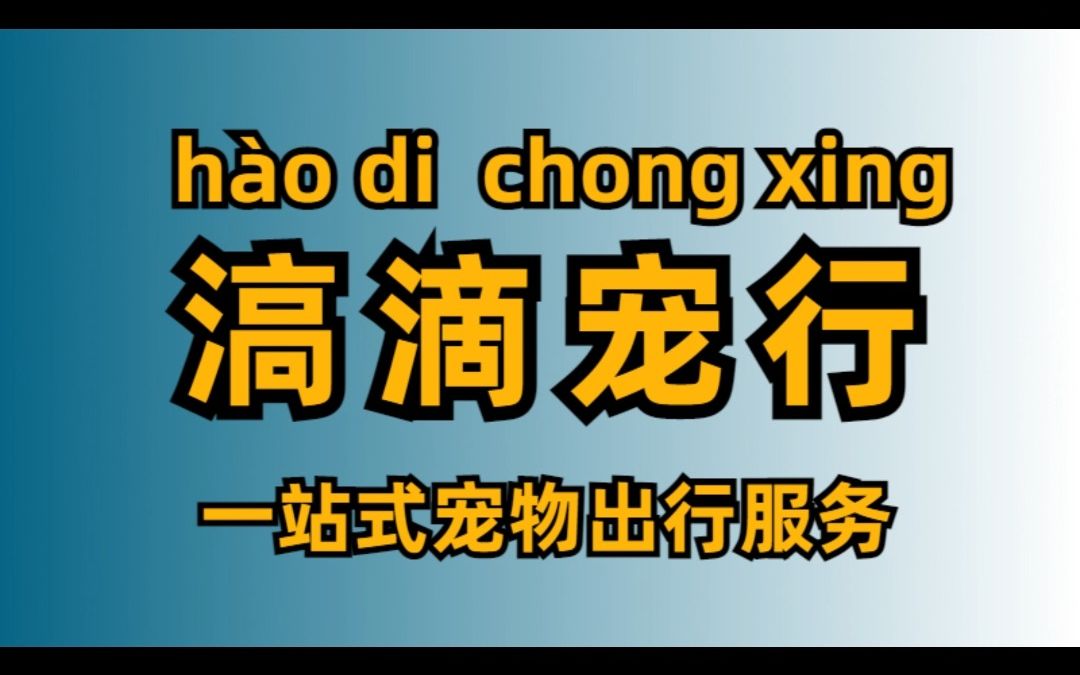 滈滴打车宠物出行,简称:滈滴宠行,小轿车宠物配送托运一站式服务,携宠出行很简单,养宠有方,宠物出行攻略,宠物配送上门,宠物托运,遛狗哔哩...