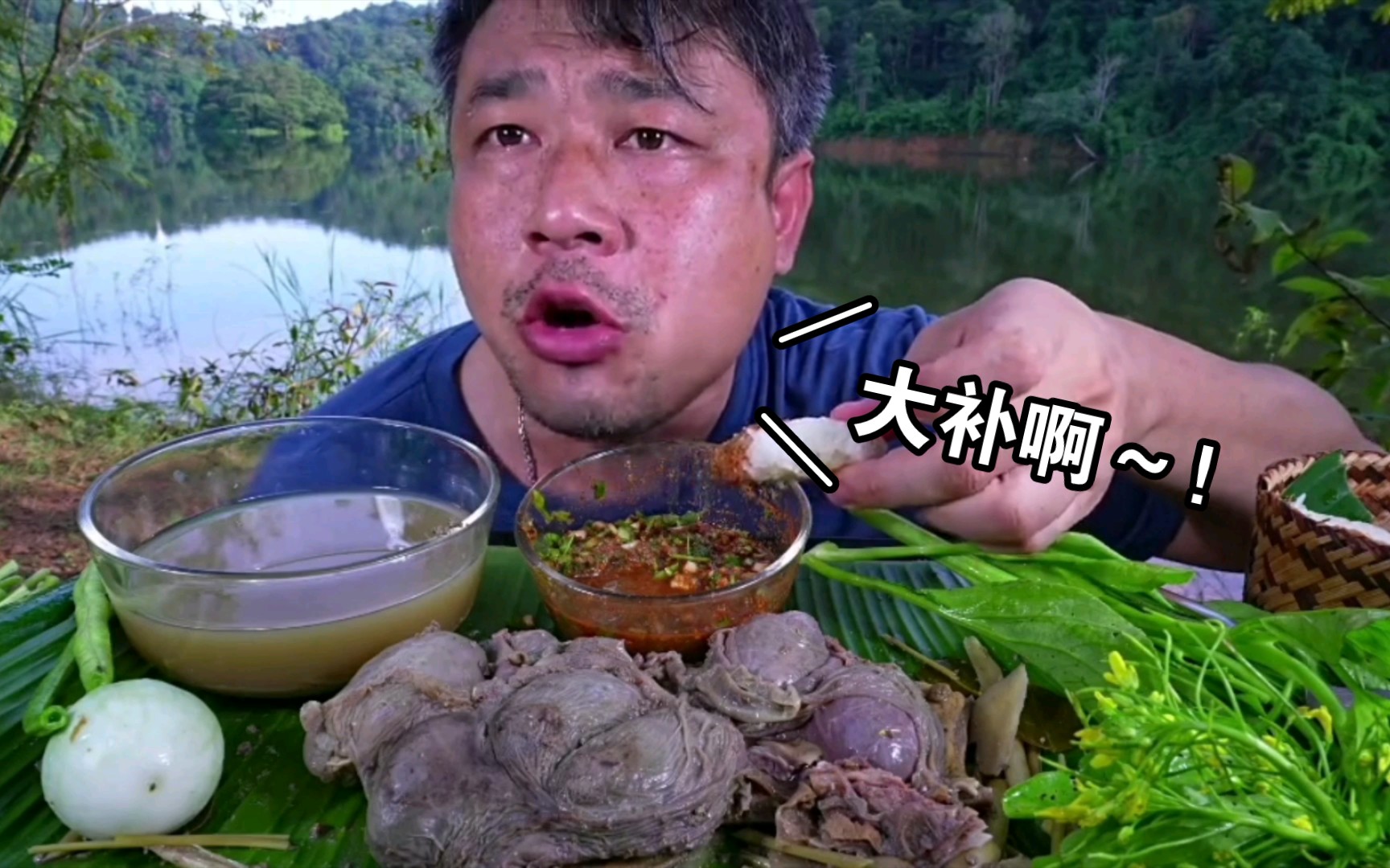 绿化带有菜苔菠菜圆茄豇豆香菜泰国大香菜刺芹芫荽～tomza汤姆扎～皮