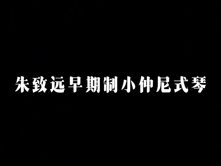 听听真正元代朱致远仲尼式古琴的声音#元琴#赤城朱致远#诸城派古琴良宵引#老琴收藏仲尼式古琴哔哩哔哩bilibili