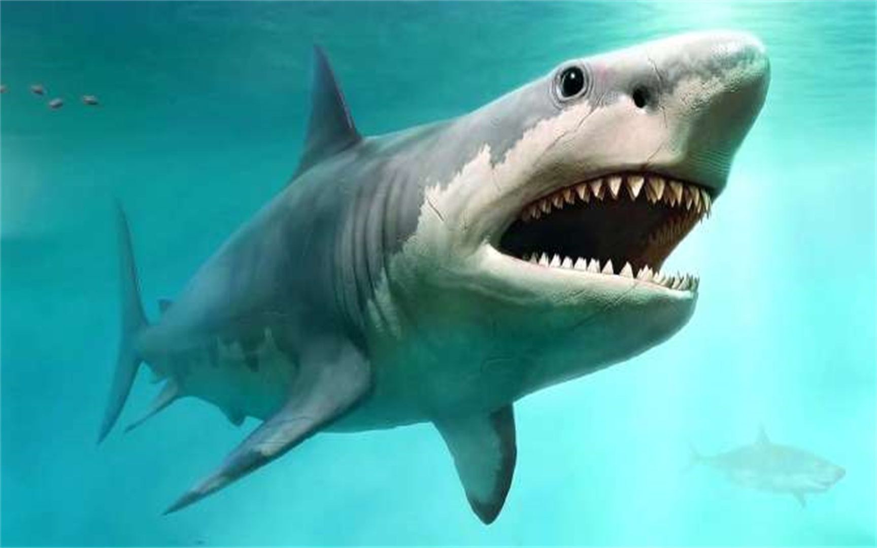 4个有关巨齿鲨的秘密