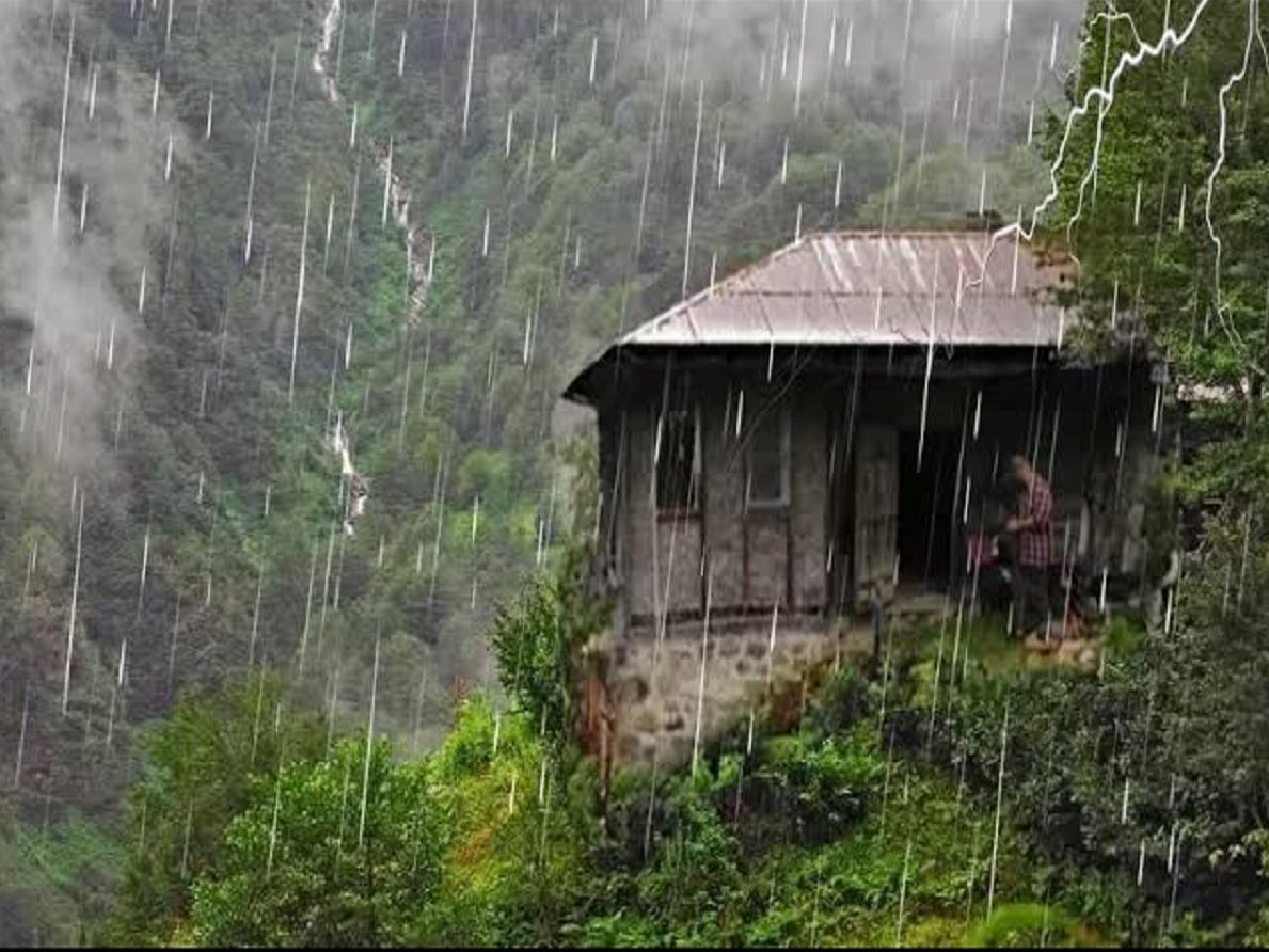 山中小屋背叛者图片