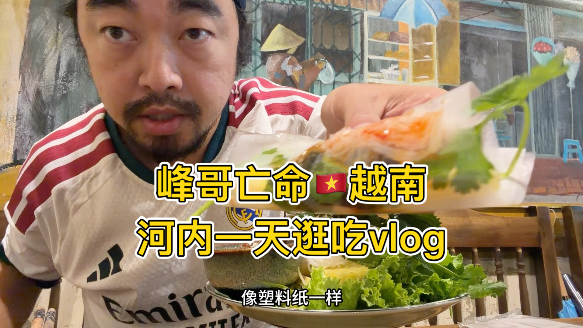 峰哥亡命越南，河内一天逛吃vlog