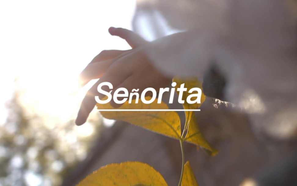 [图]英文歌推荐《Senorita》，"我知道我应该离开，我知道我办不到"---好听的英文歌曲合集