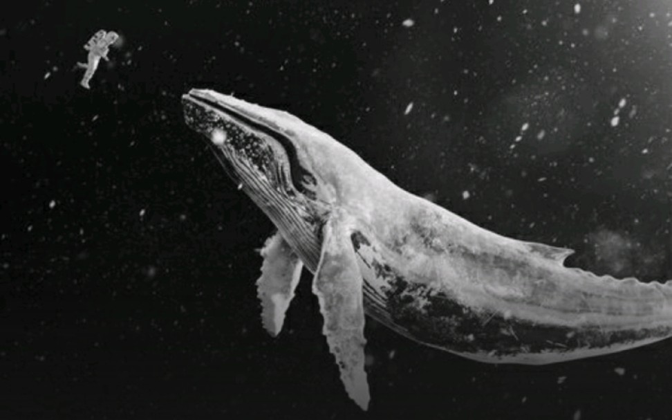 【exo】《sing for you(为你而唱)》3d混音版_哔哩哔哩_bilibili