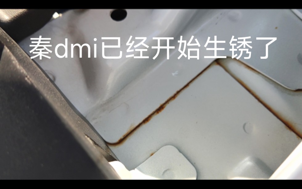 半年的秦plus dmi已经开始生锈了,明天准备去4s店售后检查一下,看看能否解决,这种问题真是太让人烦心了,用自己的所有支持你比亚迪,你却让我如此...