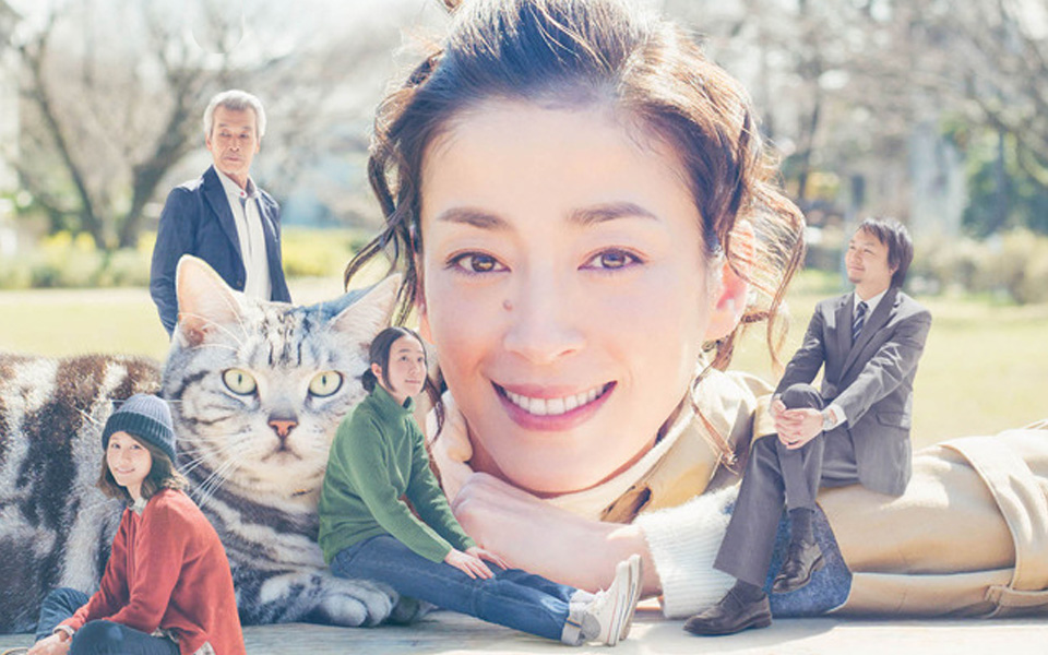 咕咕是一只猫2 5集