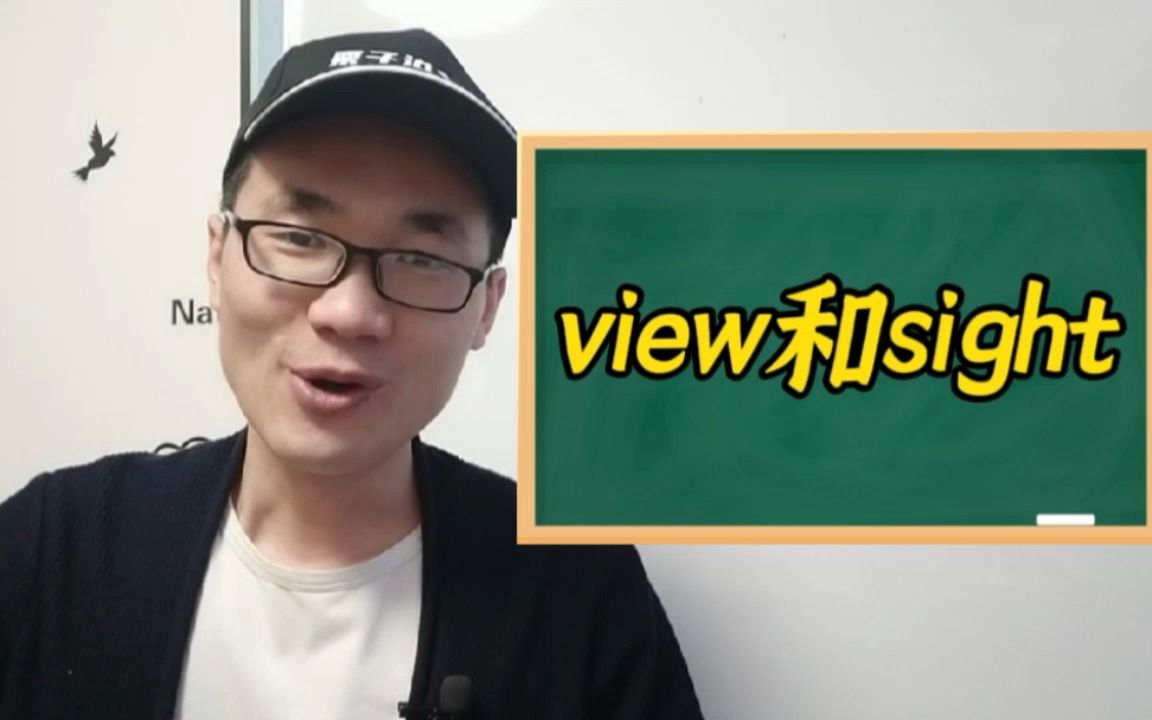 有同学问:view和sight这两个单词有何区别?哔哩哔哩bilibili