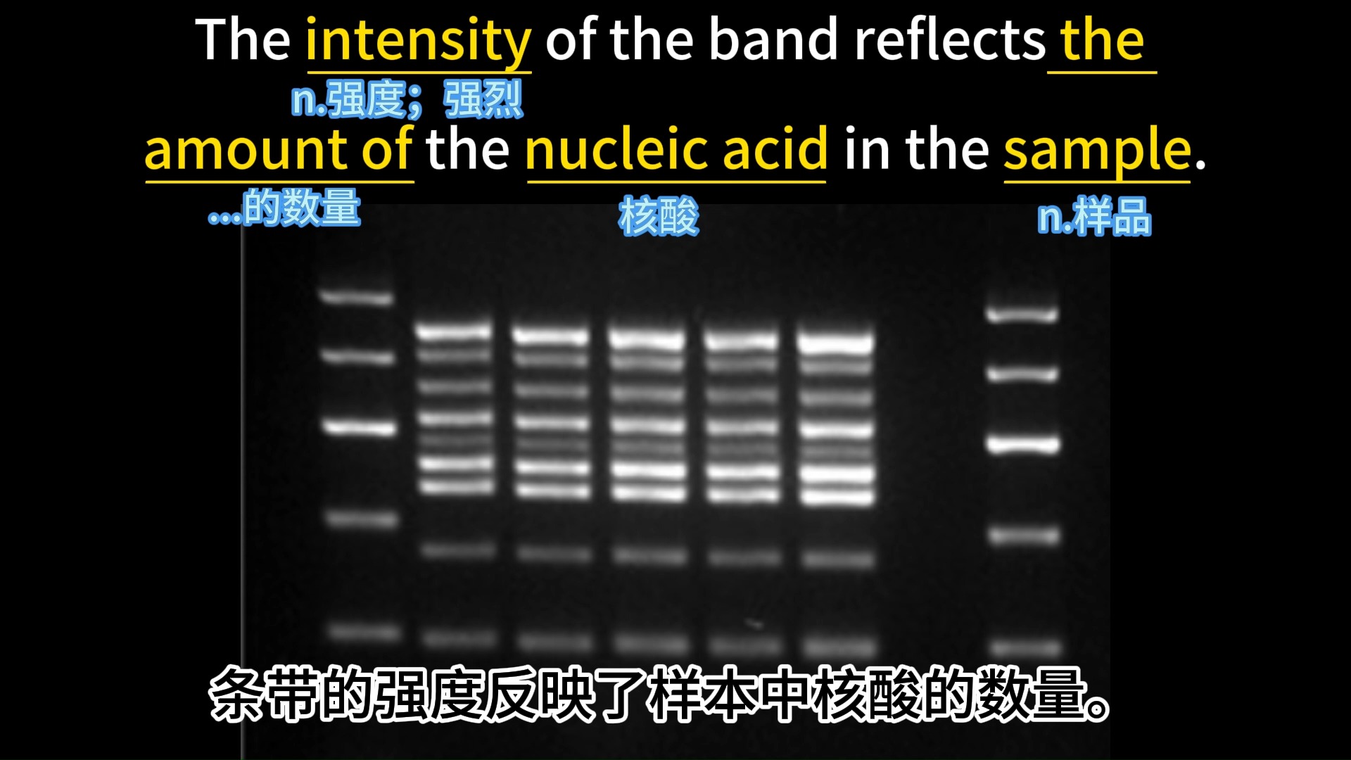 𐟎ˆ生物专业单词视频,开启学霸模式𐟒嶩deo7,从今天开始吧!哔哩哔哩bilibili