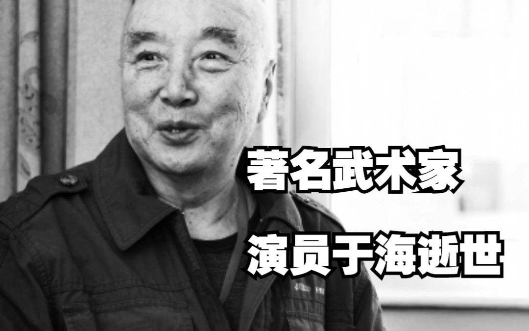 著名武术家及演员于海去世 曾出演《少林寺》《太极张三丰》《功夫小子闯情关》等多部影视作品哔哩哔哩bilibili