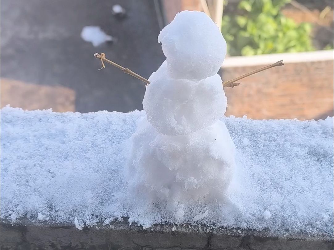 真实雪人照片图片