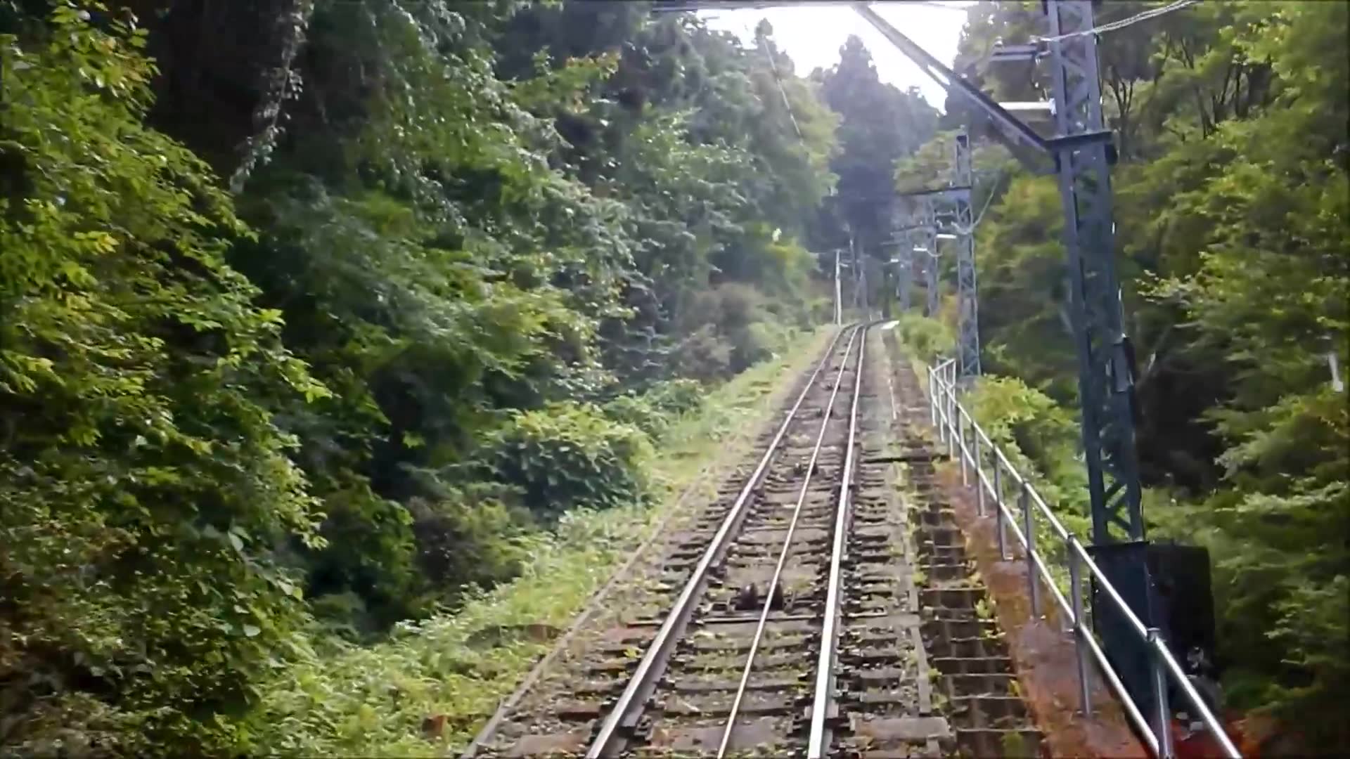 [图]御岳登山鉄道：前面展望・武蔵号 滝本駅→御岳山駅