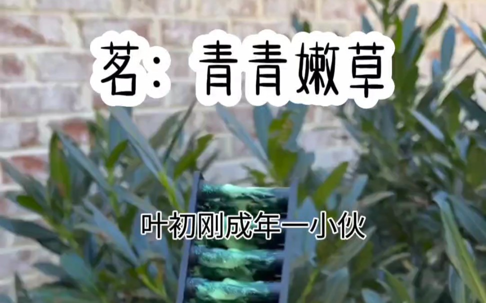 茗:青青嫩草哔哩哔哩bilibili