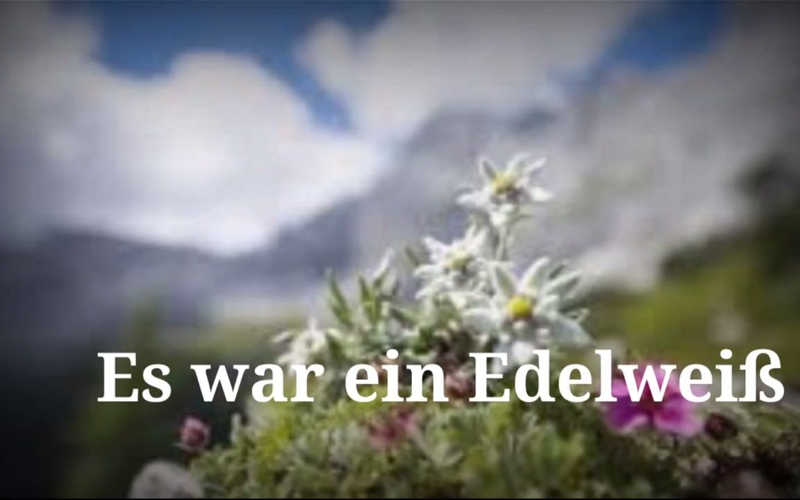 [图]【生肉】Es war ein Edelweiß雪绒花