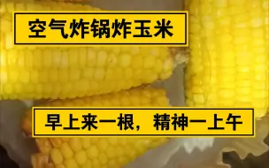 下载视频: 【日常】空气炸锅炸玉米 早上来一根 精神一上午【麻叶的美食06】