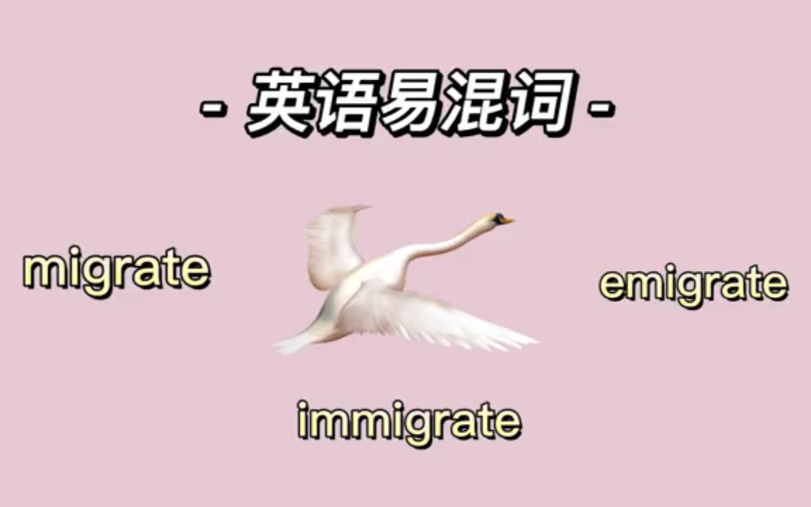 第34集 英语易混词 migrate VS immigrate VS emigrate哔哩哔哩bilibili