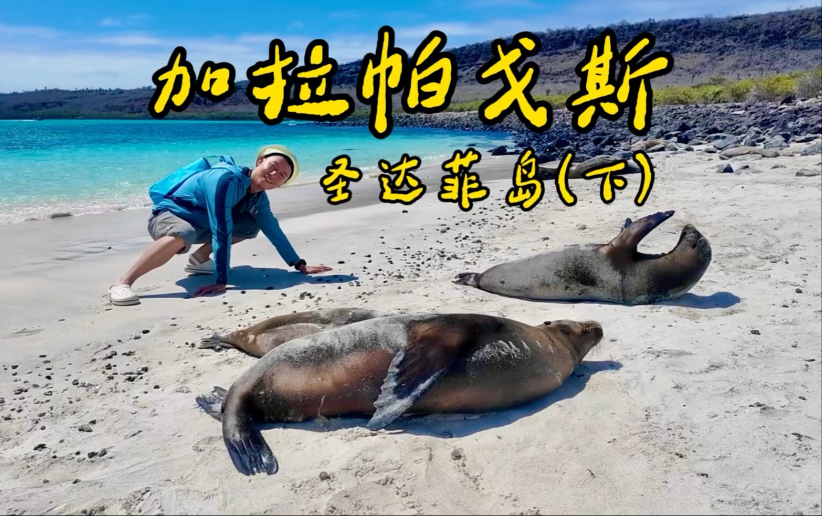 在加拉帕戈斯，刚一登录就被碰瓷儿了…