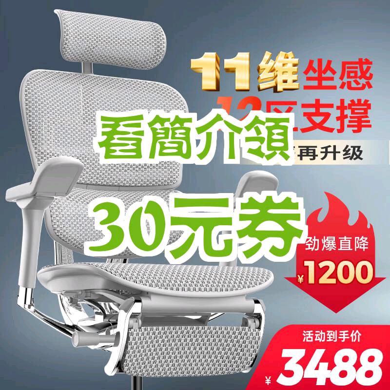 【30元券】保友办公家具(Ergonor) 金豪e 2代高端人体工学椅 电脑椅子 办公椅家用电竞椅老板椅座椅 银白(Q4.0)美国网+躺舒宝 精哔哩哔哩bilibili