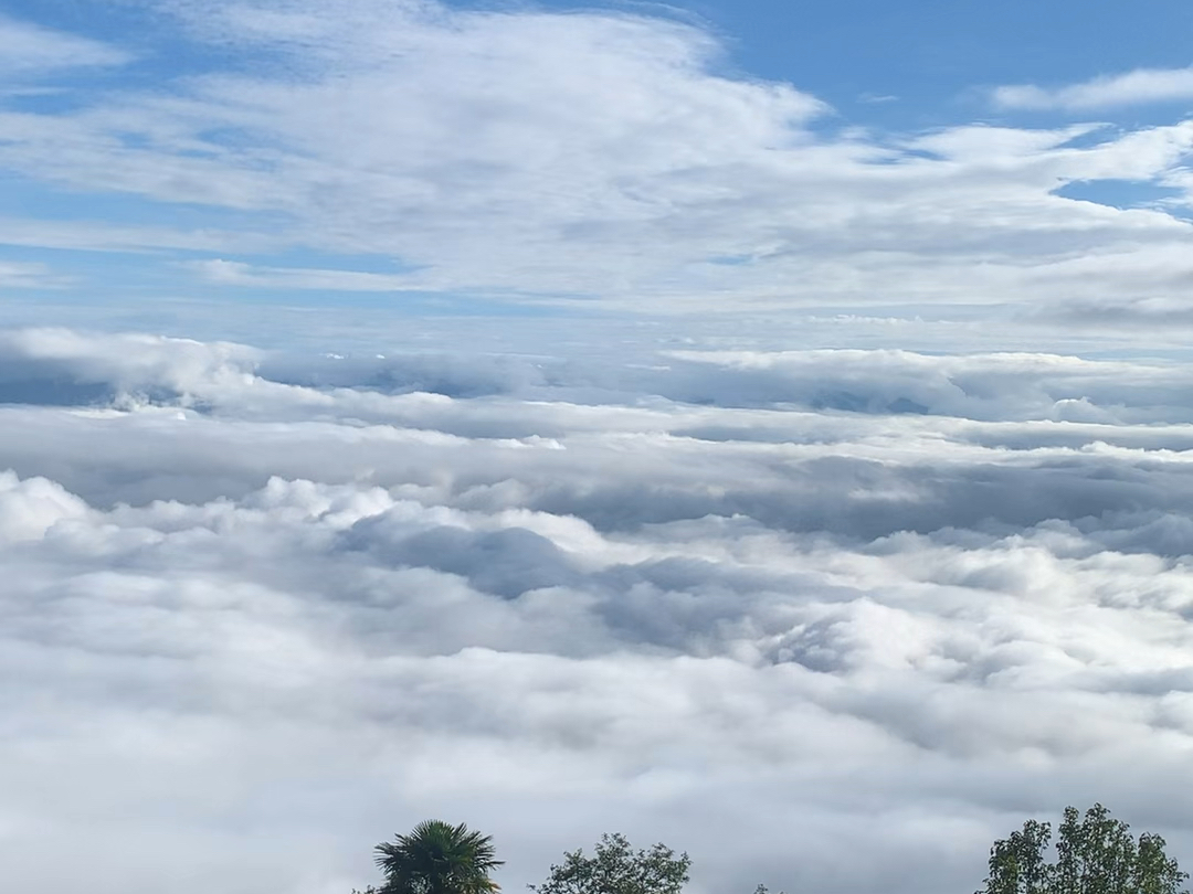 竹境云屋,今日份!