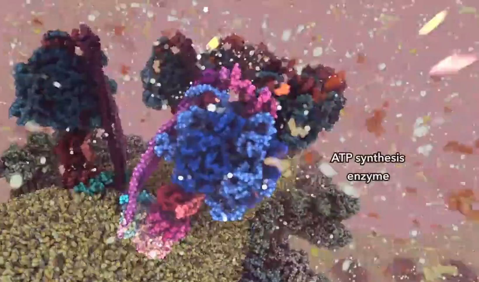 [英文字幕] ATP synthase Animation ATP合成酶动画演示哔哩哔哩bilibili