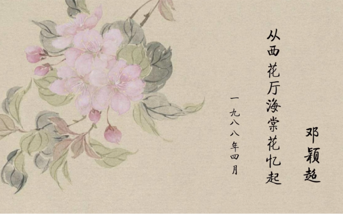 11.30猫耳fm直播:读文《从西花厅海棠花忆起》