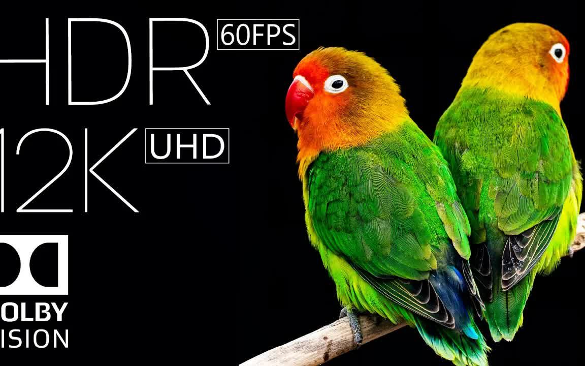 K K Hdr Fps Dolby Vision Demo In