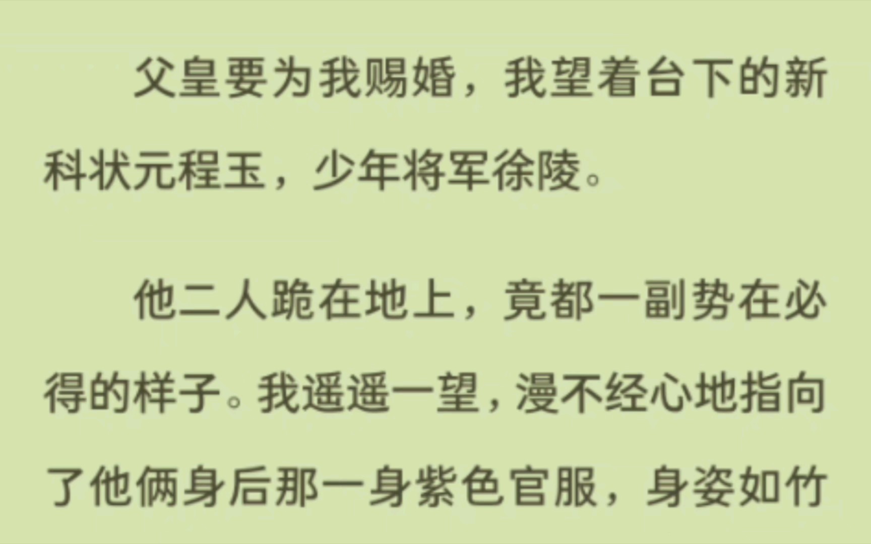 父皇要为我赐婚,我望着台下的新科状元程玉,少年将军徐陵.他二人跪在地上,竟都一副势在必得的样子.我遥遥一望,漫不经心地指向了他俩身后那一身...