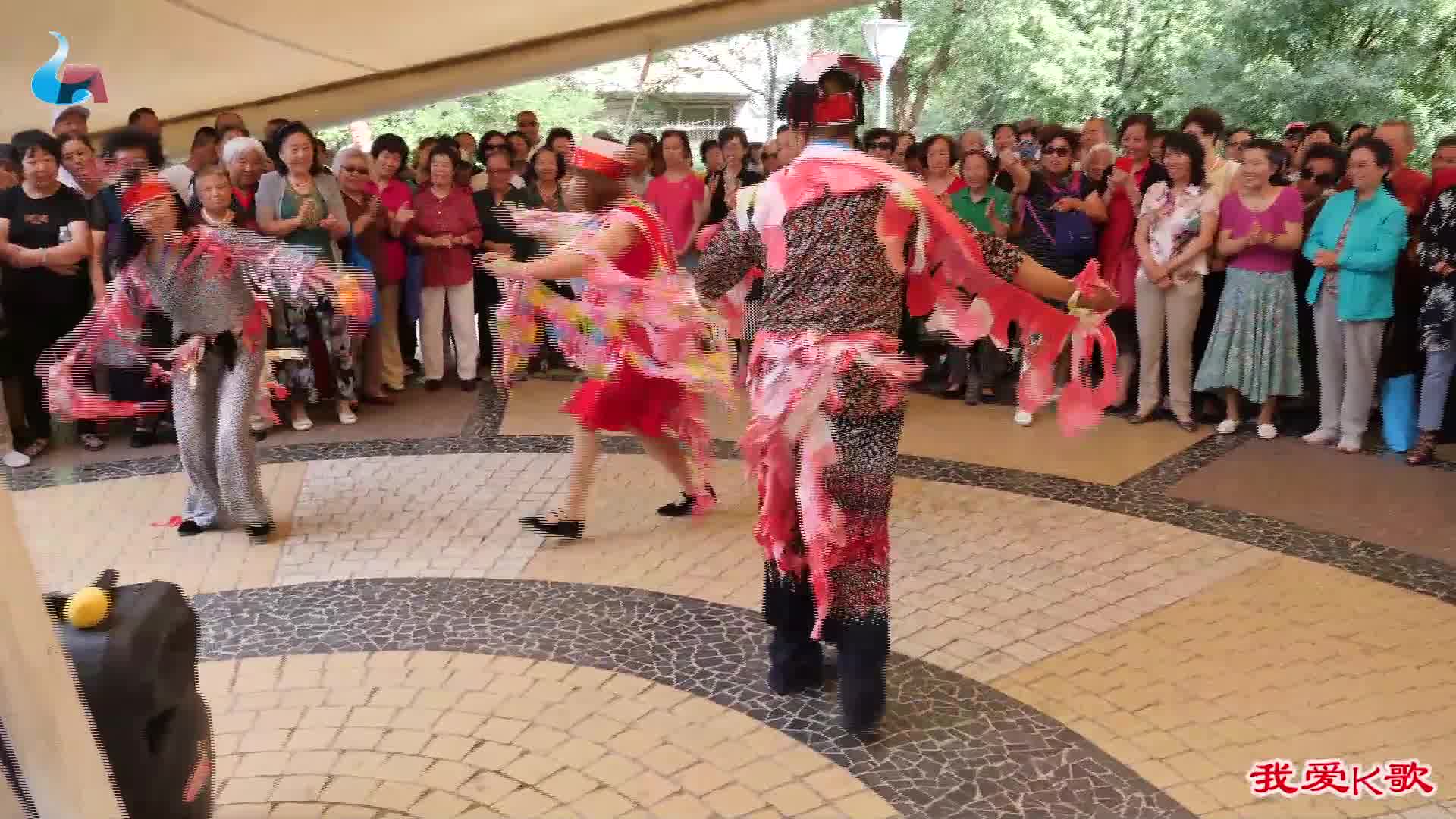 [图]斗鸡舞，刘建平王亚平钱多多表演，张家口人民公园口琴伴奏合唱团演出