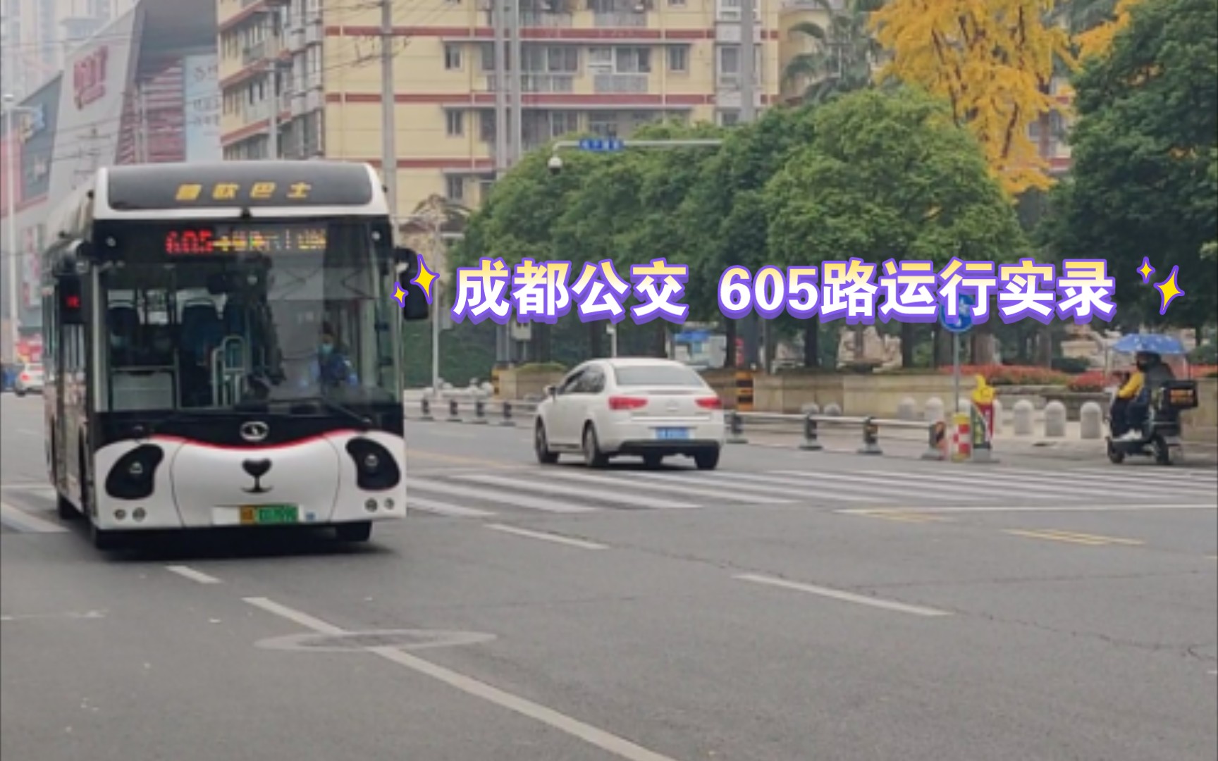 [蜀都电动 熊猫造型 地铁接驳线]成都公交605路运行pov:cdk6116cbev7