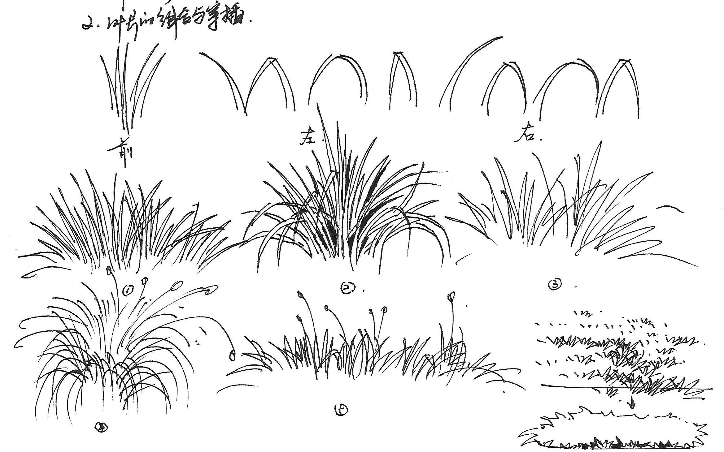 草的画法哔哩哔哩bilibili