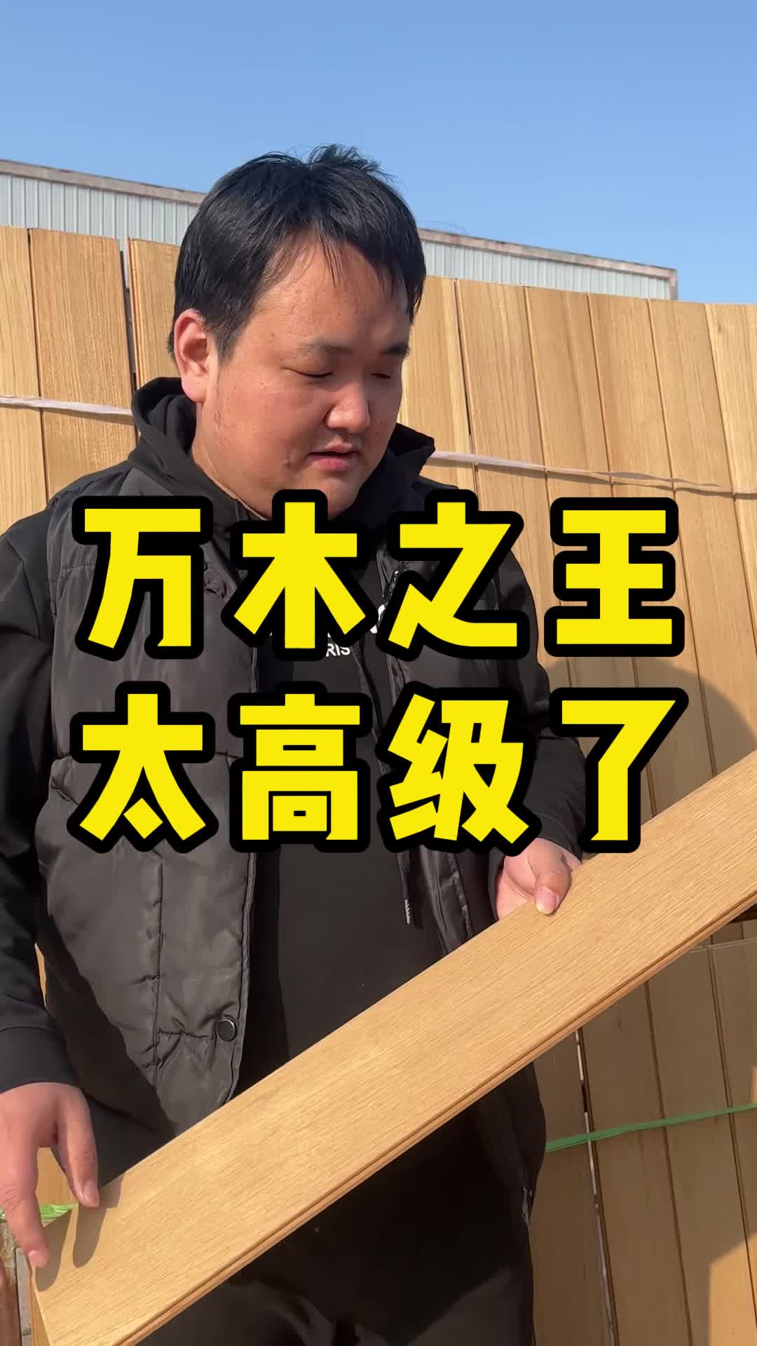 万木之王太高级了