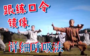 Tải video: 八段锦 欧洲少林寺 释恒义 分章节 镜像+跟练口令+详细呼吸法【较冬天版本节奏稍快 更适合新手】