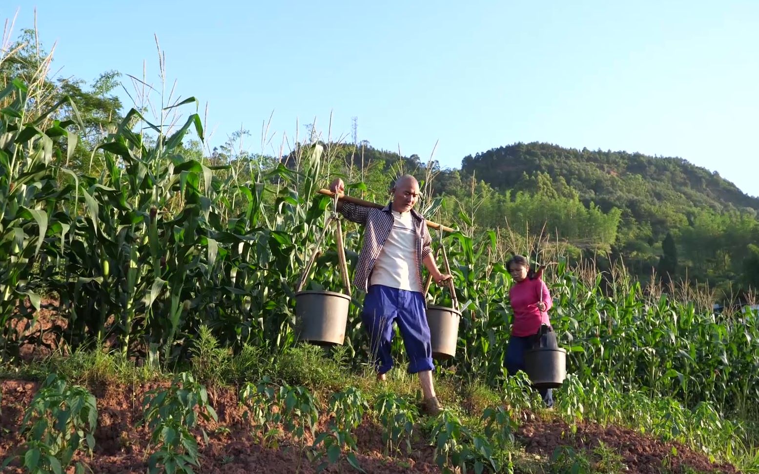 妈妈指挥爸爸干活我在旁边添油加醋爸爸说你巴不得爸妈吵架