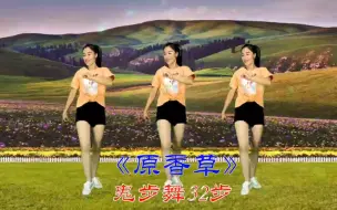 Download Video: 鬼步舞入门《原香草》动感32步