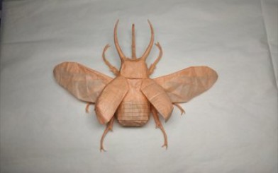 【折纸 搬运】飞行南阳大兜虫