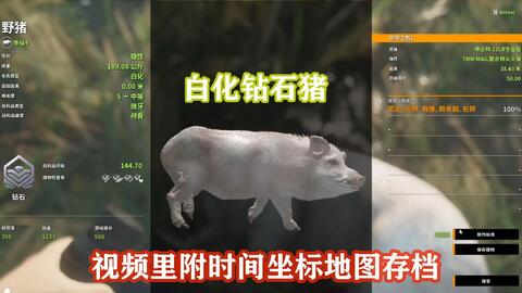 密西西比白化钻石猪，十级奇珍异兽白尾鹿视频里附时间坐标地图存档