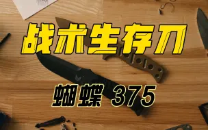 Download Video: 蝴蝶 375阿达姆斯战术直刀