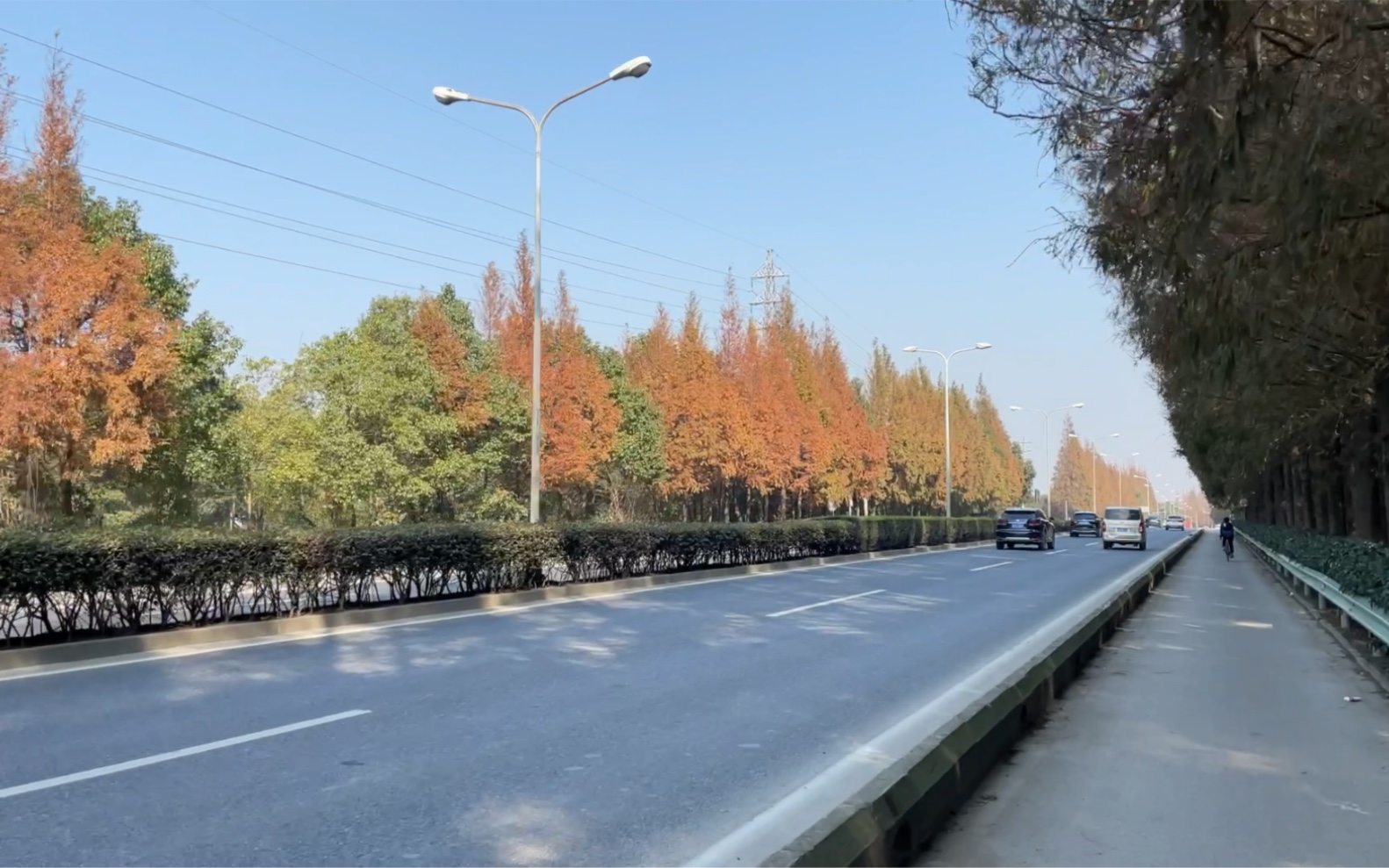 上周六,沪青平公路