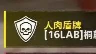 【COD战区】以防你不知道在T组的战区里你可以把对面拉起来