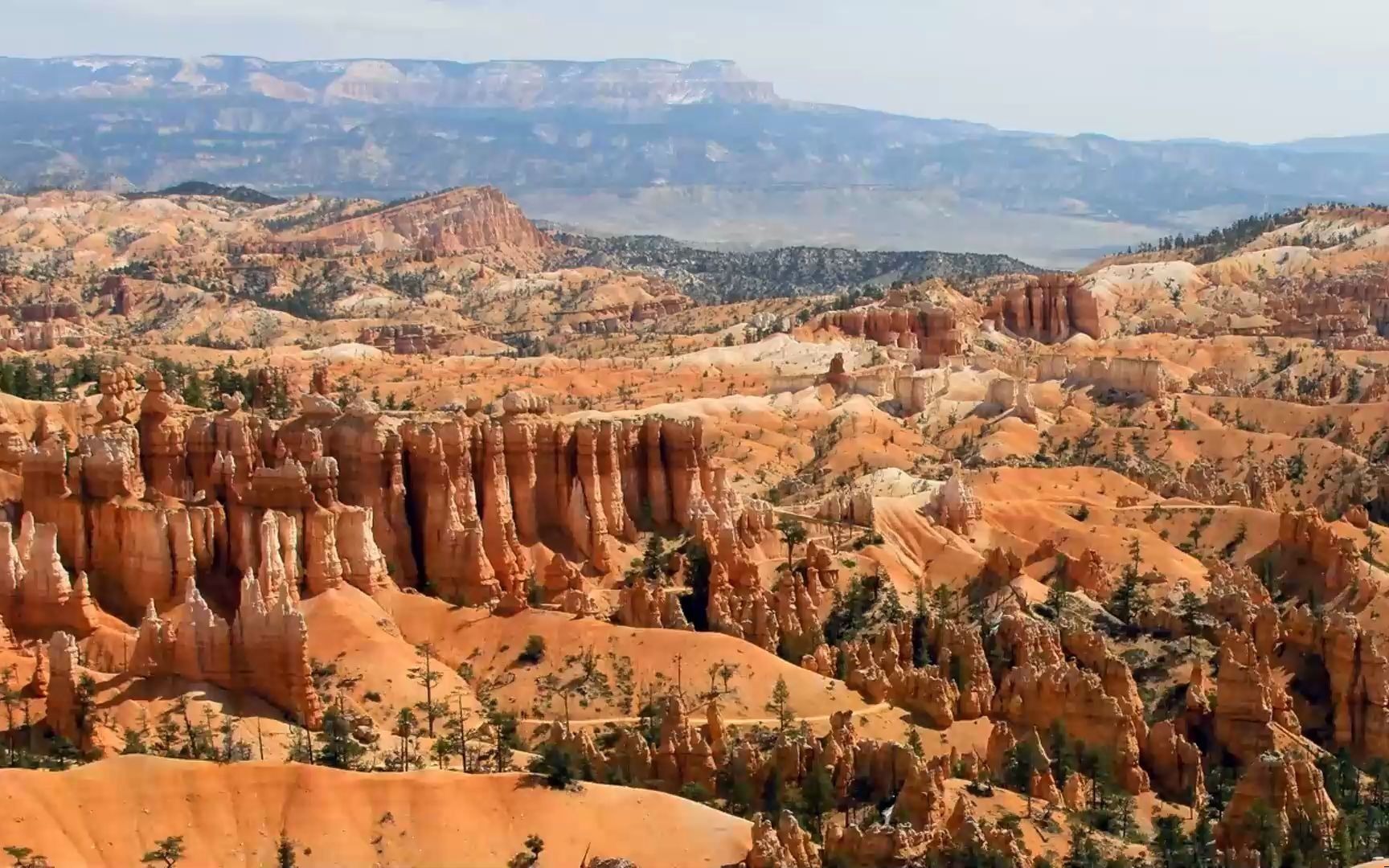 angelaaura- soma彩油塔罗—中阶