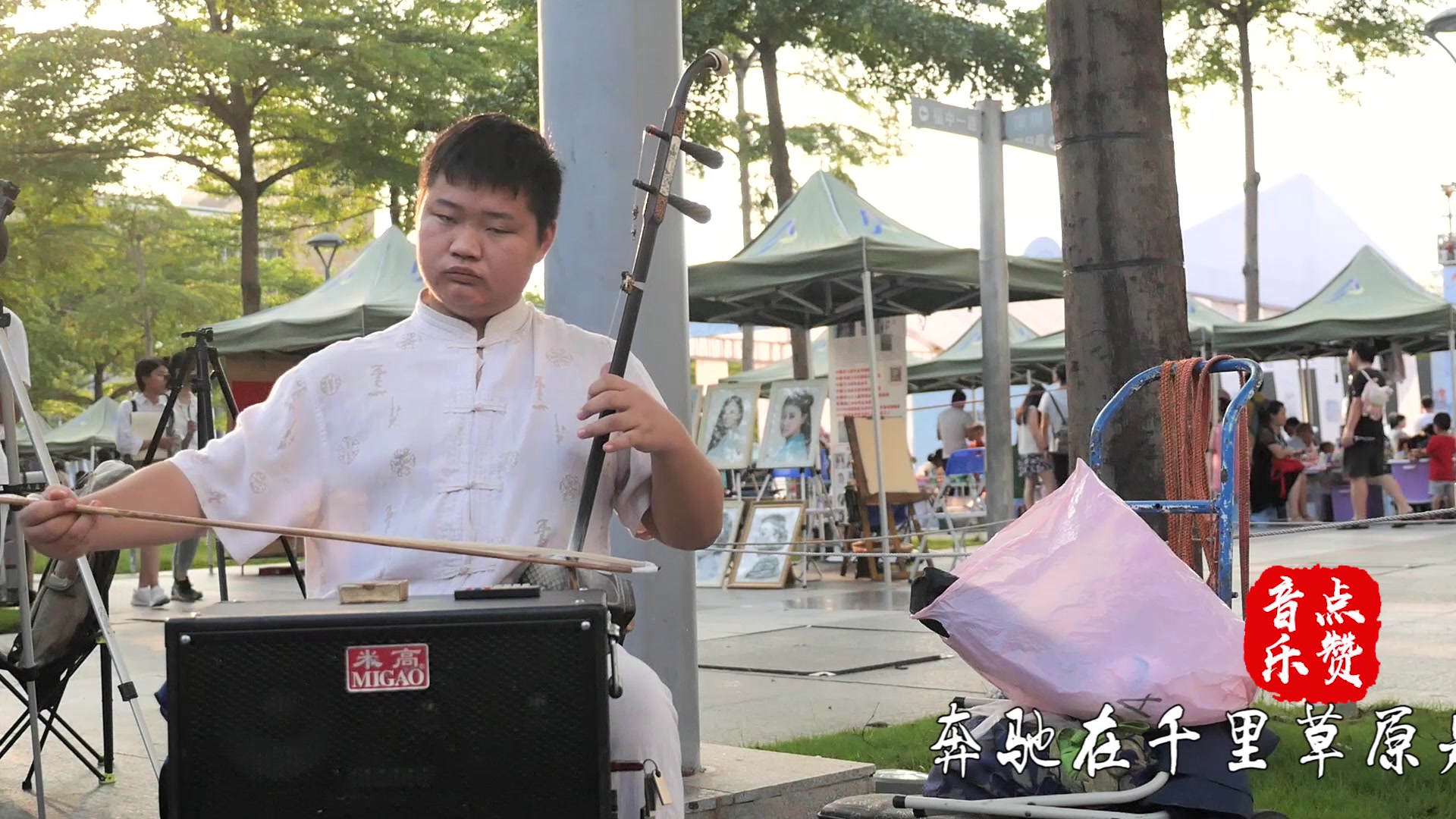 [图]居然有骑马的感觉！小哥演奏的《奔驰在千里草原》，听的人热血沸腾